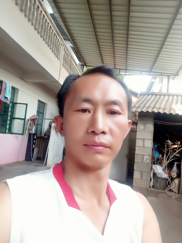 白鸽的第一张照片--大田交友网