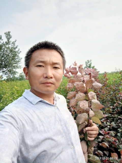 孩子爸的第一张照片--大田交友网