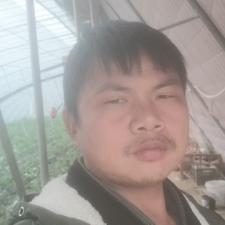 孤狼‘的第一张照片--大田交友网