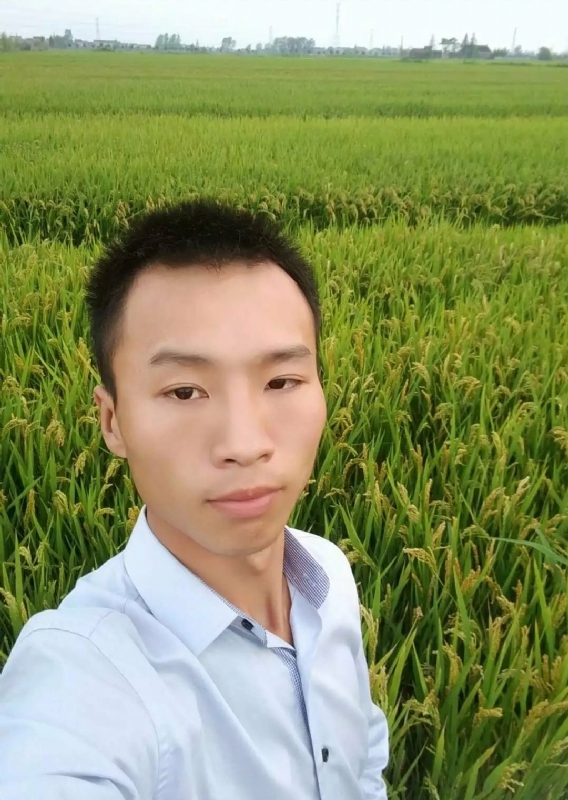等待远方的你的第二张照片--大田交友网