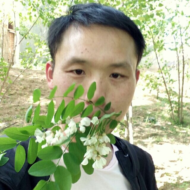 爱周口的第一张照片--大田交友网