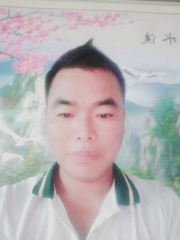 阳光男孩的第二张照片--大田交友网