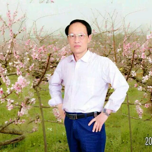 枫叶的第一张照片--大田交友网